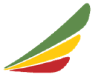 Ethiopian Airlines Color Palette
