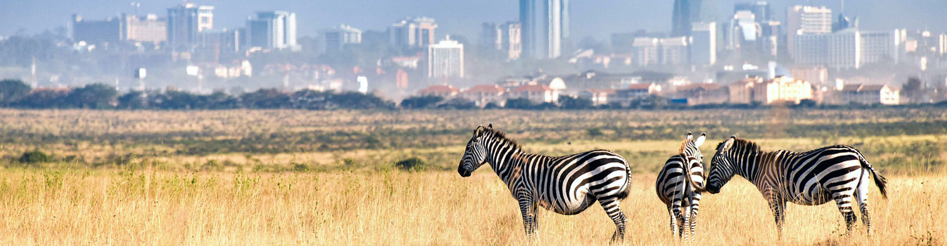 PRENOTA IL TUO VOLO ONLINE E VOLA CON ETHIOPIAN AIRLINES ITALY visual data 7