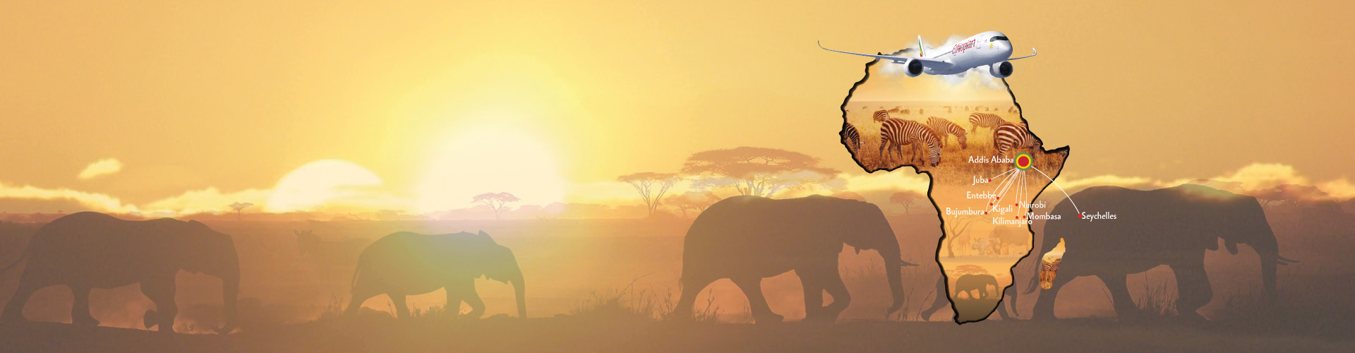 Promotional Image